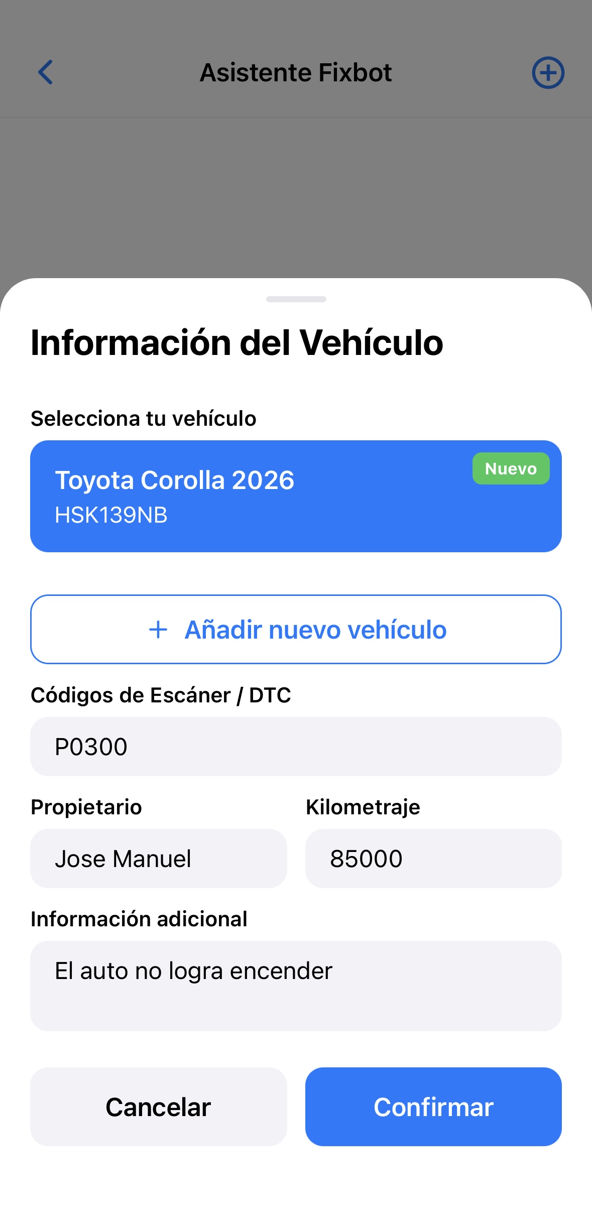 Fixbot - Información del Vehículo